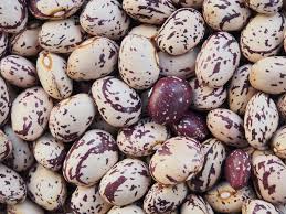 Lightly beat egg whites and vanilla in a small bowl with a fork. Growing Borlotti Beans In Pots In Home Garden Gardening Tips