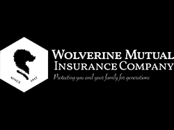 Wolverine insurance company has been set up 9/12/1951 in state mi. Home Auto Life Commercial Insurance Provision Insurance Group