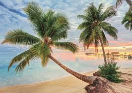 The great oceans, lakes and beaches of the world provide great subject matter for jigsaw puzzles. Beach Jigsaw Puzzles Jigsaw Puzzles For Adults