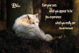 Everyone Sees What You Appear To Be Few Experience What You Really Are Niccolo Machiavelli Learning T Animal Rights Quotes Wolf Quotes Facts About Wolves