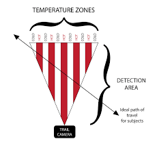 If the lights aren't coming on at all, the sensor might be aimed directly. How Is My Browning Trail Camera Triggered Browning Trail Cameras