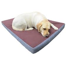 Dog O Pedic Orthopedic Memory Foam Mattress Paniers Et Coussins Orthopediques Pour Chien