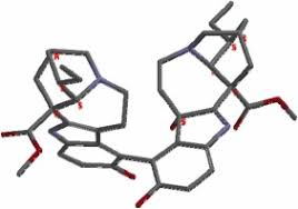 Image result for Tabernaemontana penduliflora