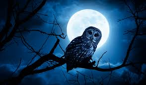 Night Owl Syndrome: Do You Have It?