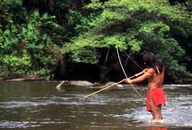 The indigenous peoples of the amazon region in ecuador have long fascinated the rest of the world, as their lives are in some ways very different from many of ours. Indigenous People Of The Amazon Rainforest Culture Life