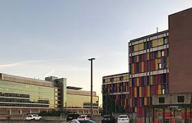 Several strategies can help keep a person from becoming confused and disoriented during… what can we help you find? Uf Health Shands Hospital Wikipedia