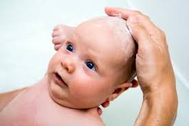 Sunnah hukumnya rambut bayi dicukur habis pada hari ke tujuh kemudian ditimbang hasil cukurannya dan beratnya. Haruskah Mencukur Rambut Bayi Baru Lahir Mamapapa Id