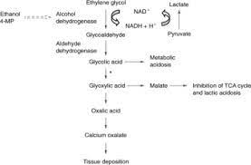 Ethylene Glycol Methanol And Isopropyl Alcohol Intoxication The American Journal Of The Medical Sciences