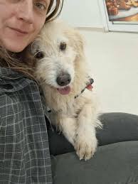 We named this 1 year and a half old rescued girl Marie🌸 She is another  girl abandoned by her previous “owners” in a hill where there are barely  going people for the