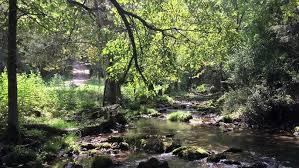 James Leva & Carol Elizabeth Jones