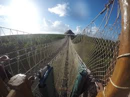 Zip lines aren't the only fun... Rope bridges to next zip line. - Picture  of Maya, Lost Mayan Kingdom, Mahahual - Tripadvisor
