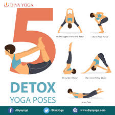 Best Yoga Teacher Training Course In Goa 2019 200 Hour Ttc Chair Pose Yoga Yoga Poses For Digestion Chair Pose Twist