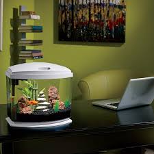 Aqueon Led Minibow Aquarium Starter Kits With Led Lighting Uses Aqueon Small Filter Cartridges Saltwateraquariu Aquarium Set Saltwater Aquarium Setup Aquarium