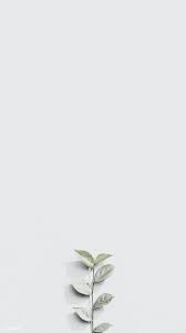 Download Premium Image Of White Plant Branch On A Gray Brick Wall In White Wallpaper For Iphone Pastel Background Wallpapers White Background Wallpaper