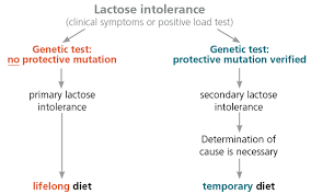 Image result for Lactase Deficiency