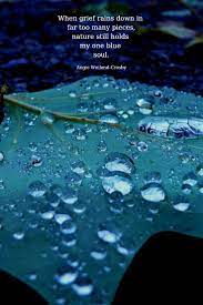 Find the best raindrops quotes, sayings and quotations on picturequotes.com. Nature Quotes For The Wandering Soul Nature Quotes Nature Quotes Inspirational Raindrops Quotes