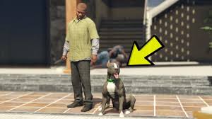 Gta 5 Yeni Pitbull Kopek Youtube