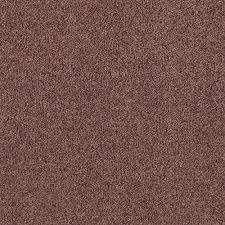 Home Decorators Collection Carpet Sample Shining Moments I Carpet Samples Home Decorators Collection Carpet