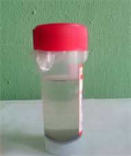 Image result for Rothmannia whitfieldii