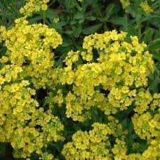Pin On Landscaping Outside Ideas Tips