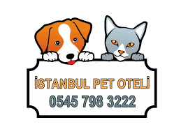 Istanbul Pet Oteli Kedi Kopek Oteli