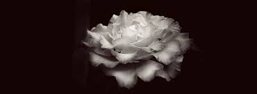 List of the best florist in vancouver, wa. Death Notices And Obituaries Huntsville Ontario Canada