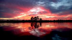 Las imágenes son para uso personal y no comercial. Paisajes De Noche Fondos De Pantalla Hd Para Pc