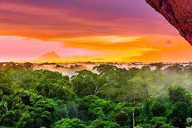We did not find results for: Best Of The Colombian Amazon Kimkim