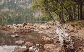 Schauen sie sich auf tripadvisor bewertungen und fotos von 10 parks & sehenswürdigkeiten in freier natur in tschechien, europa an. 25 Sehenswurdigkeiten In Tschechien Die Du Sehen Musst