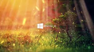 We have a massive amount of hd images that will make your computer or smartphone look absolutely fresh. Animated Wallpaper Nature Windows 10 Youtube