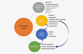 Cancer in the pancreas occurs when the cells in the pancreas multiply out of pancreatic adenocarcinoma is what people usually mean when they say they have cancer of the after five years, that number drops to about 6%. Early Detection Of Pancreatic Cancer Where Are We Now And Where Are We Going Zhou 2017 International Journal Of Cancer Wiley Online Library