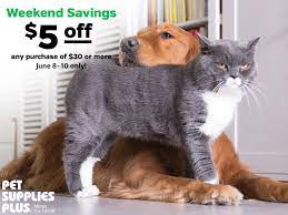 Our pet store services include: Pet Supplies Plus On Twitter Excuse Me Sir I Have Some Shopping To Take Care Of Petsuppliesplus Minusthehassle Weekenddeals Savings Greatcattakeover Checkmeowt Https T Co 0uf0o8kvmi Https T Co Qnsbwk59nd