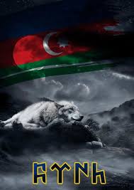 Bozqurd Azərbaycan Turkcu Azərbaycan Azərbaycan Bayragi Divar Kagizi Azerbaijan Flag Wallpaper Backgrounds Silk Flower Arrangements