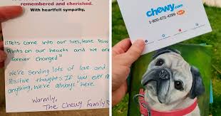 Check spelling or type a new query. Man Asks Chewy For A Refund On Dog Food After His Dog Passes Away Gets An Oil Painting With A Message Bored Panda