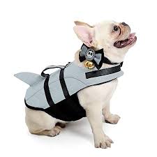Frequent special offers and discounts.⭐free worldwide shipping. Amazon Com Kimol Large Dog Life Jacket Shark Dog Swimming Vest Grey Pet Supplies Dog Swimming French Bulldog Bulldog
