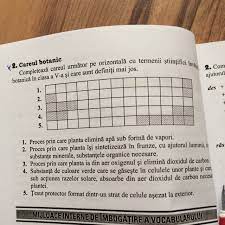 Fiecare nod al listei contine, in afara de informatia utila, adresa urmatorului element. Trebuie Sa Fsc Acest Careu AjutaÈi MÄ Brainly Ro