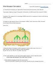 Dna mutation simulation answer key pdf. Copy Of Dna Mutation Simulation Worksheet Name Dna Mutation Simulation Access The Simulation At Biol Co Dna Sim1 1 Transcribe And Translate Your Course Hero
