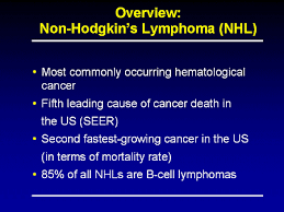 Toward An Optimal Management Of Non Hodgkins Lymphoma