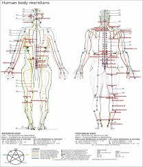 Chart Of Major Meridian Lines Massage Massage Technique