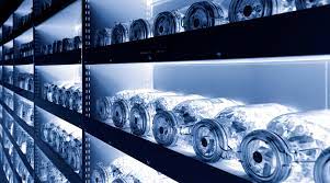 Seed banks came into being when people faced difficulty finding various seeds from local nurseries and plant growers. Through War Wildfire And Pandemic The World S Seed Vaults Hold Strong