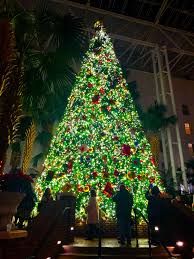 Hotels near gaylord opryland resort gardens. Christmas Tree At Gaylord Opryland Hotel In Nashville Christmas