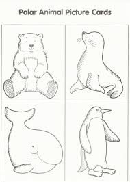 Posted in animals coloring pages. Arctic Animals Coloring Pages Coloring Home