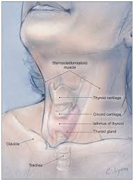 Image result for Neck Exam
