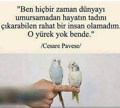 o insanlara cok ozendim ama oyle olamadim guzel soz edebiyat ozlu sozler