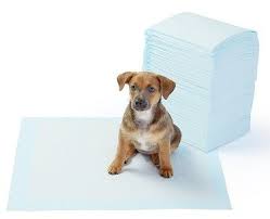 The problem with schedules is that they are no use if a puppy cannot wait until the designated time to pee. Dog Grass Pads 10 Reasons Not To Buy Thatmutt Com