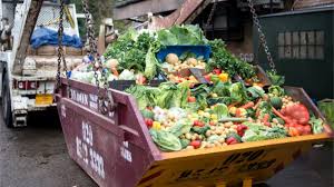 Image result for pictures of waste foods