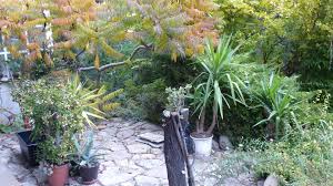 Even on the buda side, you can be quite close to all the major sights in pest just by crossing the chain bridge. Ecogarden In Buda Pest