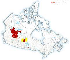 .canada a émis lundi des veilles de tempête hivernale pour plusieurs régions du québec; Jyjw4n2bvk0 Rm
