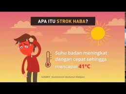 Semestinya kucing tidak mampu untuk menjelaskan kepada anda yang mereka kepanasan namun mereka boleh menunjukkan kepada anda ciri ciri yang jelas. Infografik Tanda Tanda Awal Strok Haba Youtube