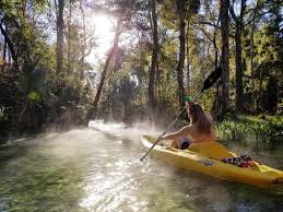 A dip in a cold, clear spring is the perfect remedy for florida's summer heat. Rock Springs Run At Kelly Park Apopka Fl Outdoor Troop